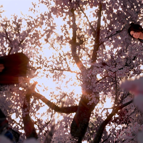 scs_2_26032712082409149_thumb