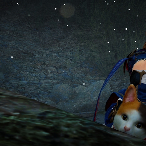 scs_1_26030301543549359_thumb