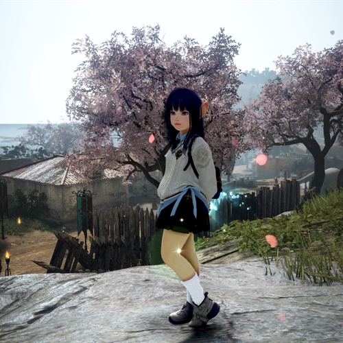 scs_6_26033011521952574_thumb