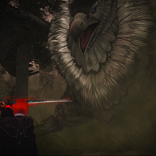 scs_5_26030601122405333_thumb