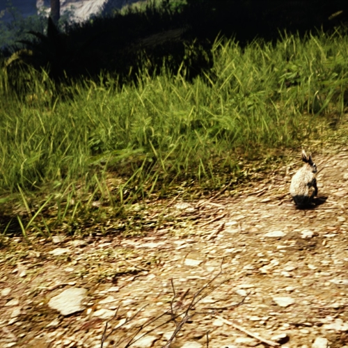 scs_1_26030703063688964_thumb
