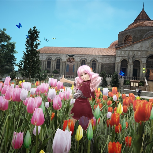 scs_1_26041009380175428_thumb