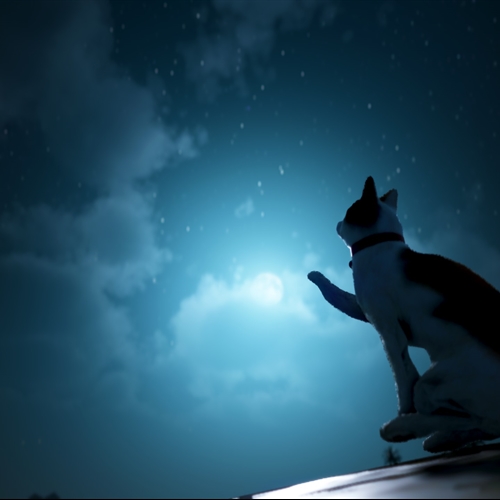 scs_1_2604121256392353_thumb