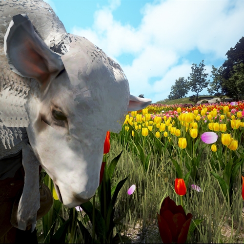 scs_2_26041202320993383_thumb