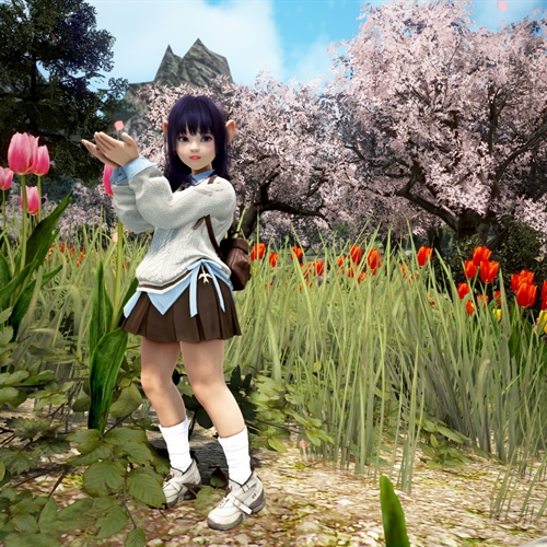 scs_4_26041202304623157_thumb