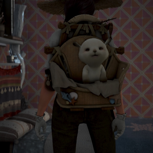 scs_1_2604150557181537_thumb