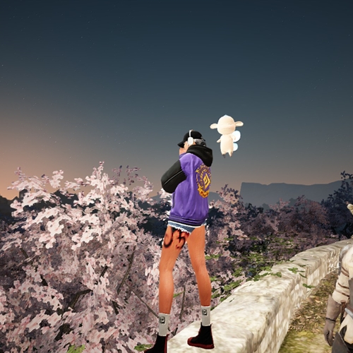 scs_3_26041704371299365_thumb