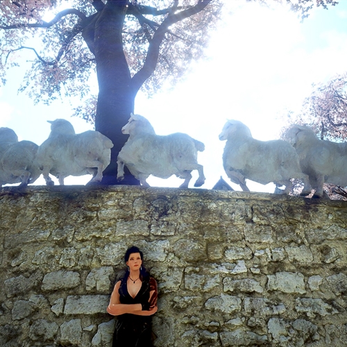 scs_1_26041909293316552_thumb