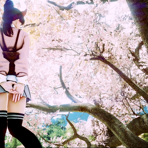 scs_6_26041910174986716_thumb