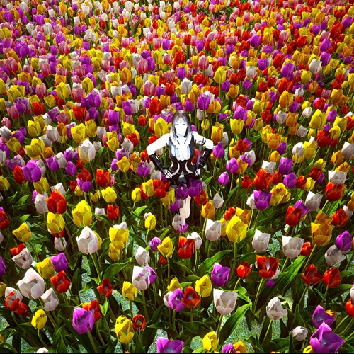 scs_6_2604251037240357_thumb