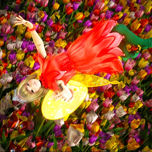 scs_1_26042602212797986_thumb