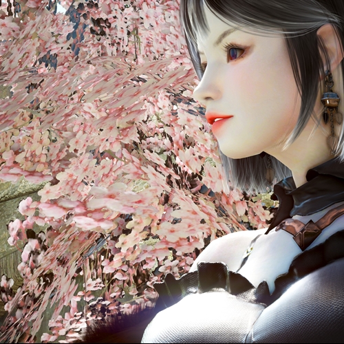 scs_6_26042611411145553_thumb