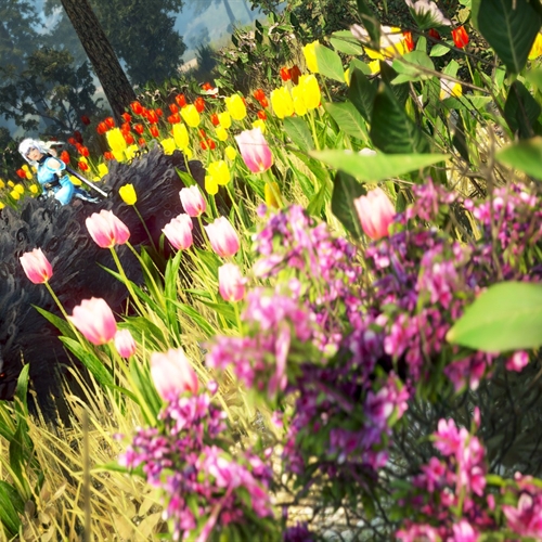 scs_1_26042810370293275_thumb