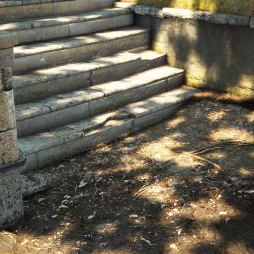 scs_1_26040303355764482_thumb