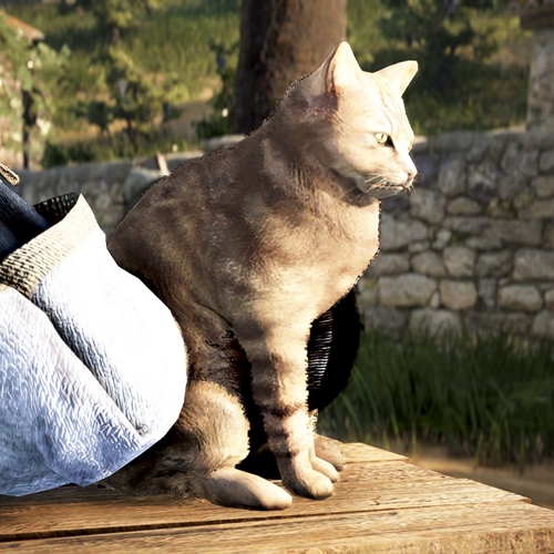 scs_1_26040509281530014_thumb