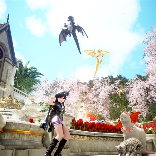 scs_6_26040503254264364_thumb