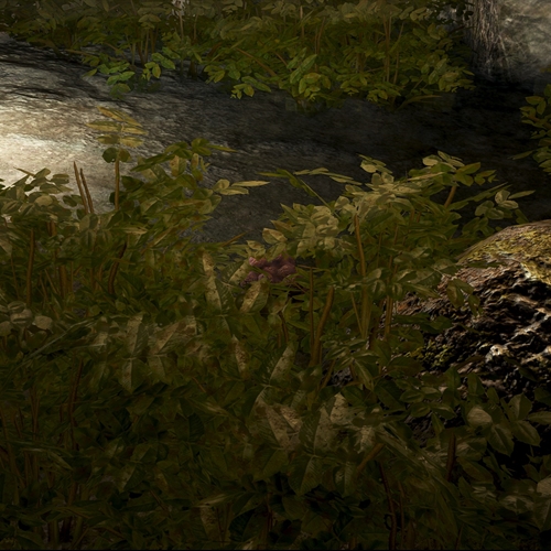 scs_1_26051904494737282_thumb