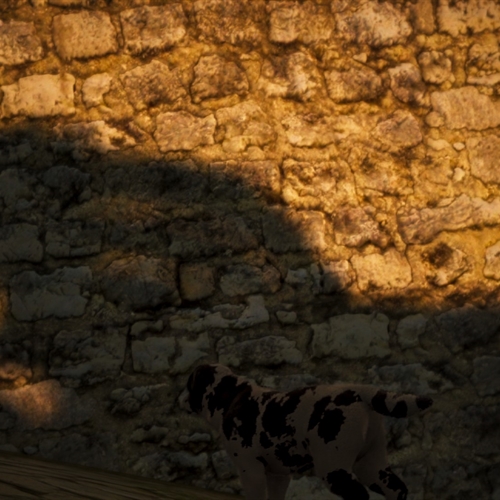 scs_1_26050801291041869_thumb