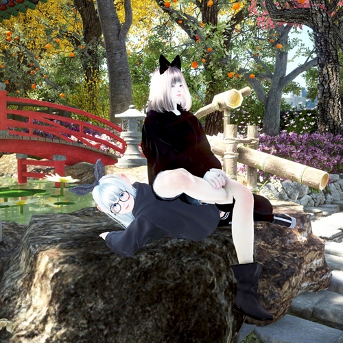 scs_1_26050903274699143_thumb