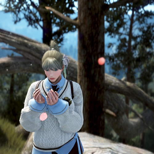 scs_4_26050906380892839_thumb