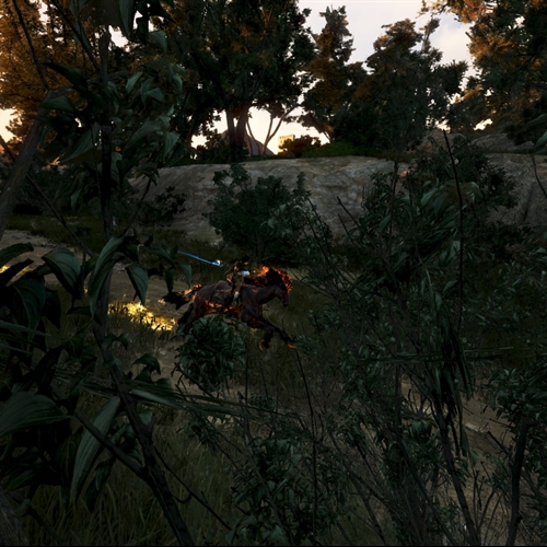 scs_1_26061012334386415_thumb