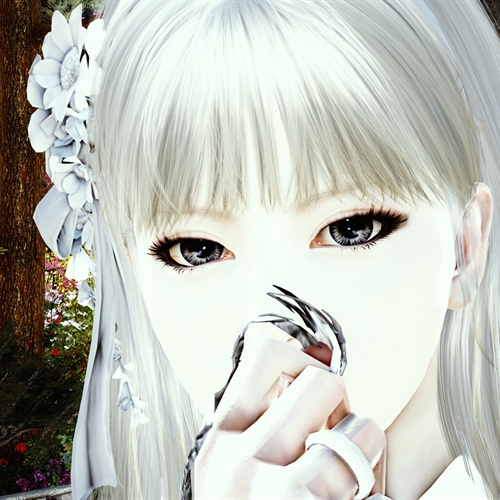 scs_5_26061211145158415_thumb