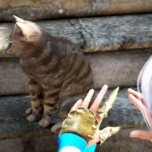 scs_1_26062110334269075_thumb