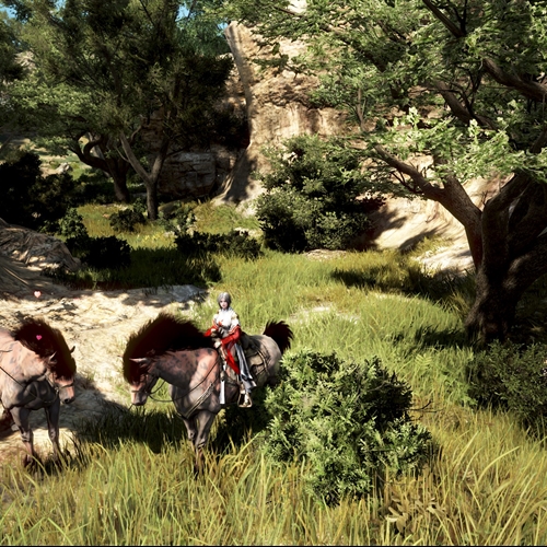 scs_1_26062311331397989_thumb