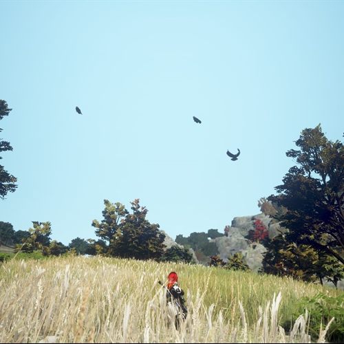 scs_1_2606260755111617_thumb