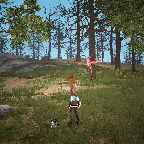 scs_1_26060602493827611_thumb