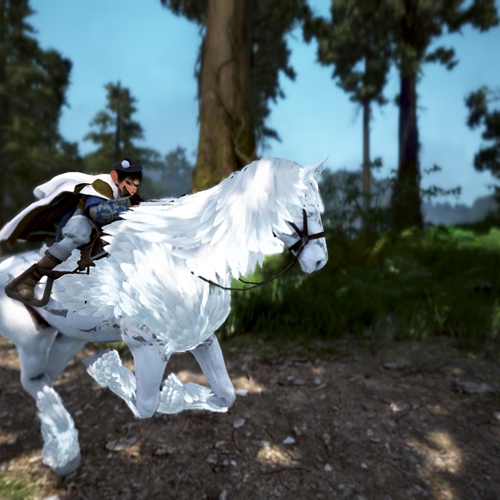 scs_1_26072602441689767_thumb
