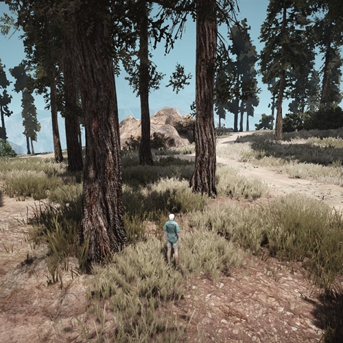scs_1_26081405502059715_thumb