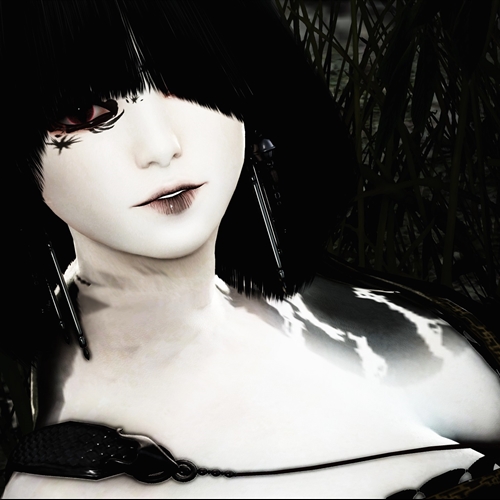 scs_6_26081801172314694_thumb