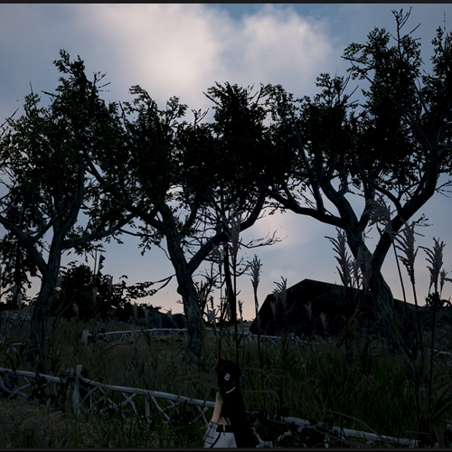 scs_1_26091908380996610_thumb