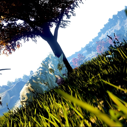 scs_1_26092306380153916_thumb