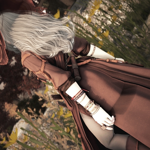 scs_3_2609260617251144_thumb