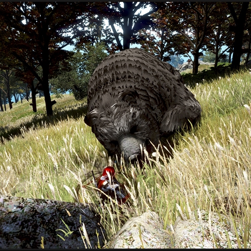 scs_1_26090502584003718_thumb