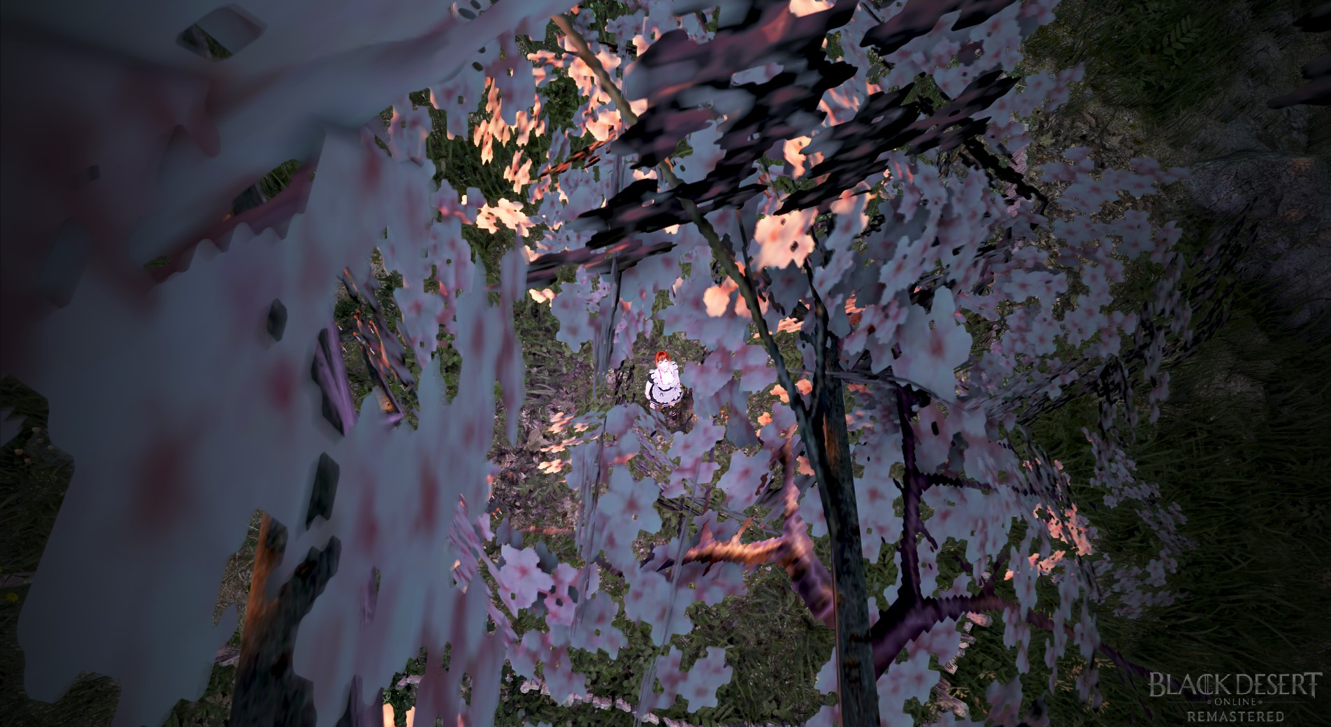 黒い砂漠 Pearlabyss 黒い砂漠 Pearlabyss