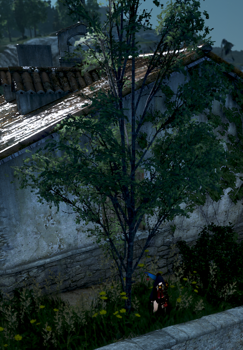 黒い砂漠 Pearlabyss 黒い砂漠 Pearlabyss