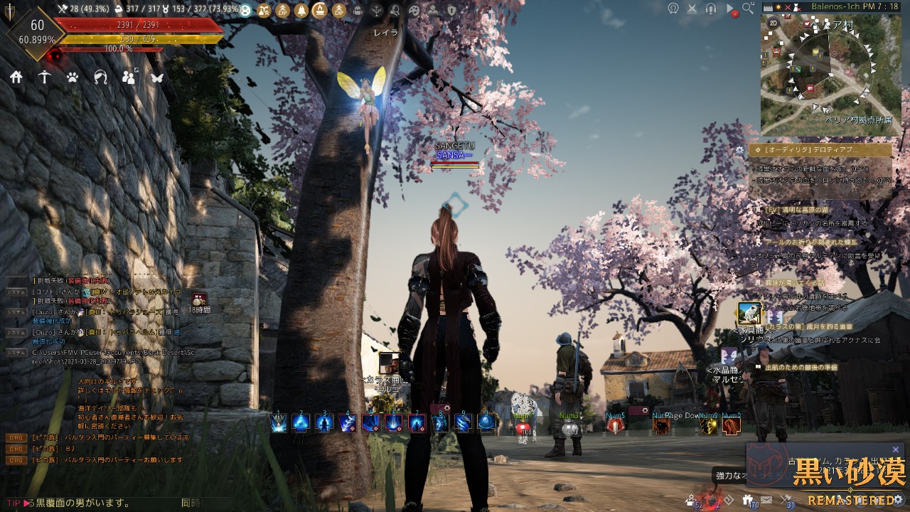 黒い砂漠 Pearlabyss