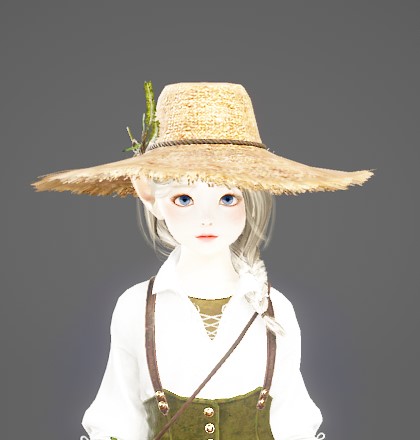 ts