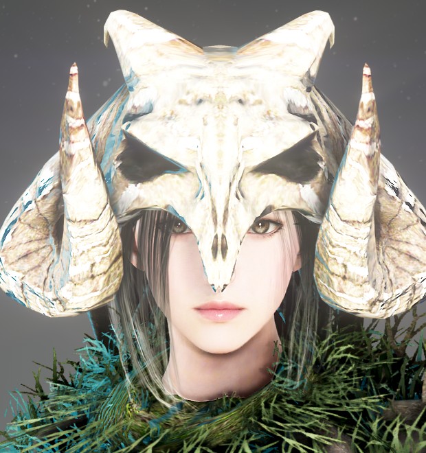 드라카니아 이쁨