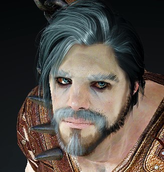 외형