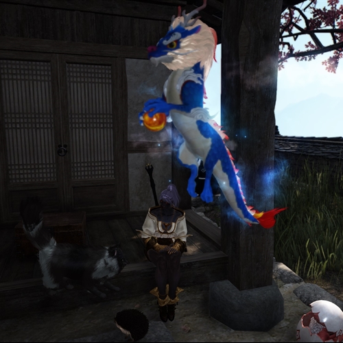 scs_1_25012501580880087_thumb