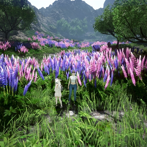 scs_1_2510200656221287_thumb