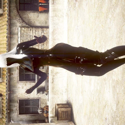 scs_6_25110112075532454_thumb