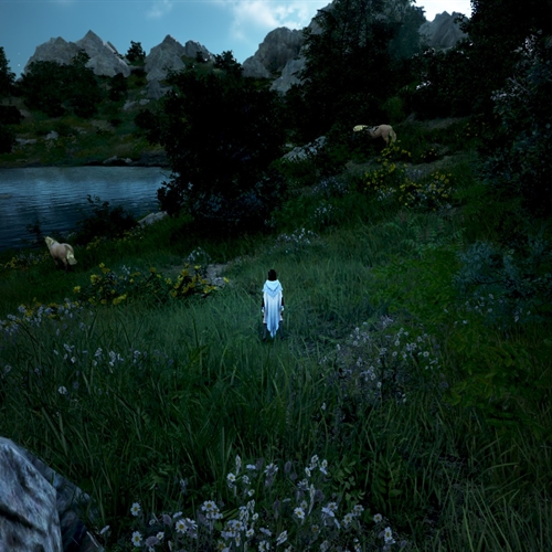 scs_1_25110808465216930_thumb