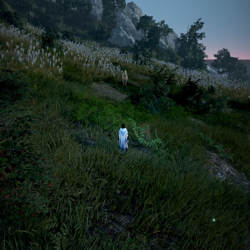 scs_1_25110808534248083_thumb