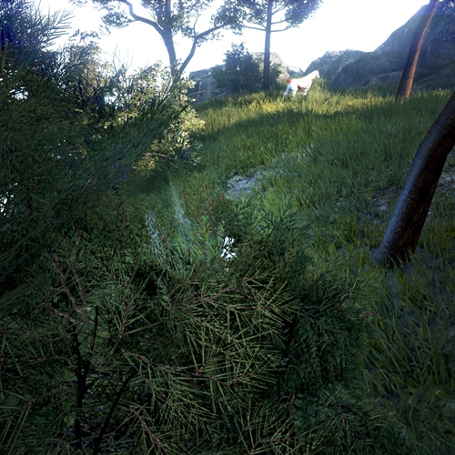 scs_1_25110809330316492_thumb