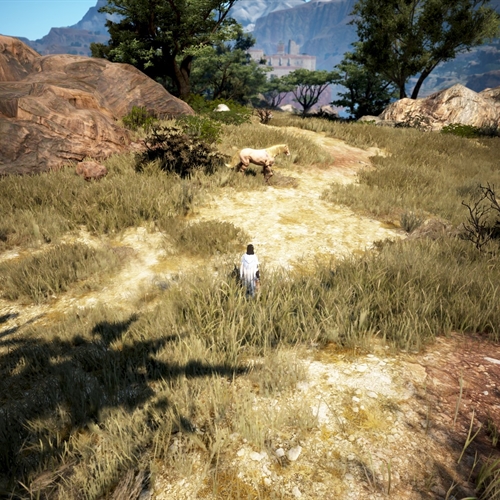 scs_1_25110810084581363_thumb